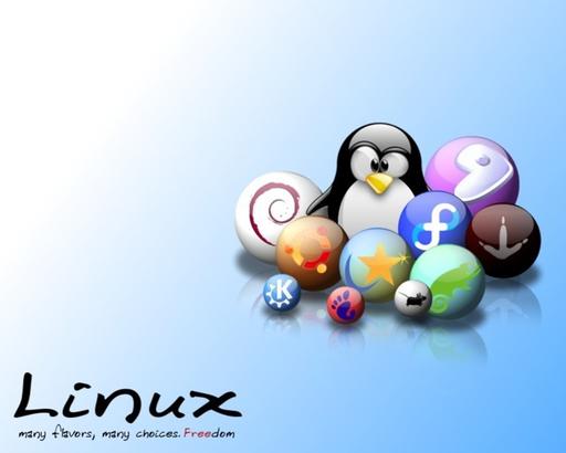 Обо всем - Oracle начала поставку собственного Linux-ядра[Пингвинам рекомендуется!]