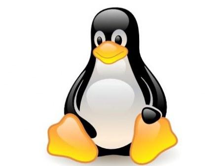 Обо всем - Oracle начала поставку собственного Linux-ядра[Пингвинам рекомендуется!]