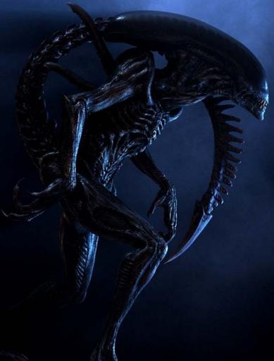 Aliens vs. Predator (2010) - "Ветер свободы" Ксеноморф (часть 1)